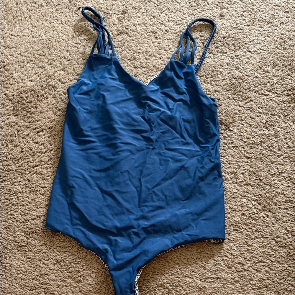 Acacia capetowm EUC medium